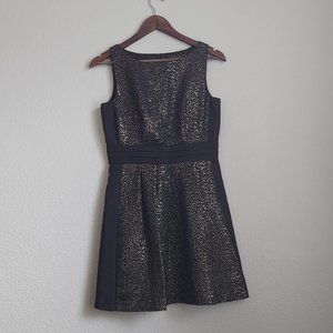The Limited Black Gold Swirl 60's Inspired Cocktail Dress